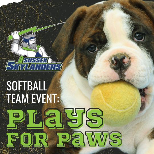 Picture of Dog with Softball in Mouth