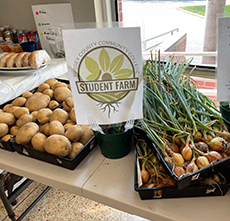 Image of potatoes and onions on a farm stand with the Farm logo.
