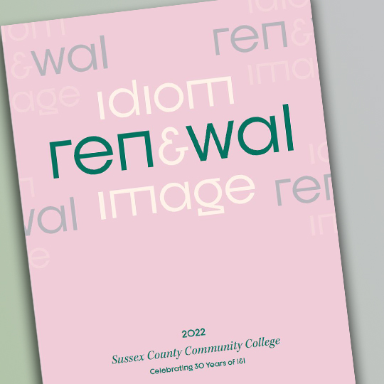 Idiom and Image pink cover with the words Idiom Renewal Image