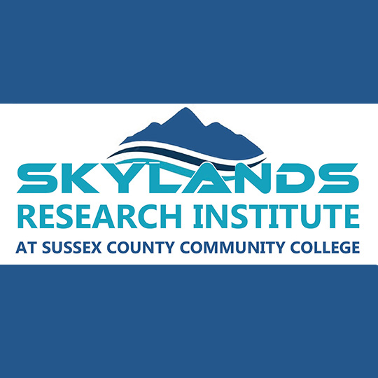 The Skylands Research logo in teal and blue