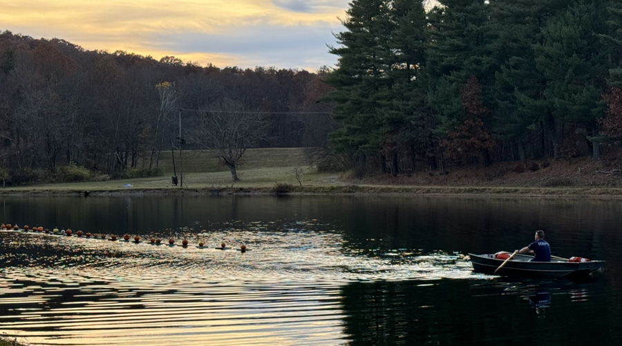 Pumpkins floating on Horton Pond