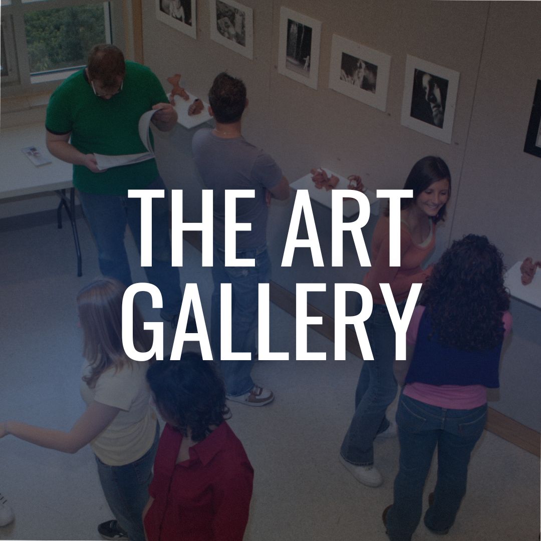 The Art Gallery at Sussex