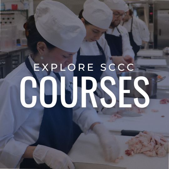 Courses at Sussex