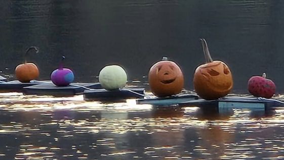 Pumpkins Floating on the Horton Pond