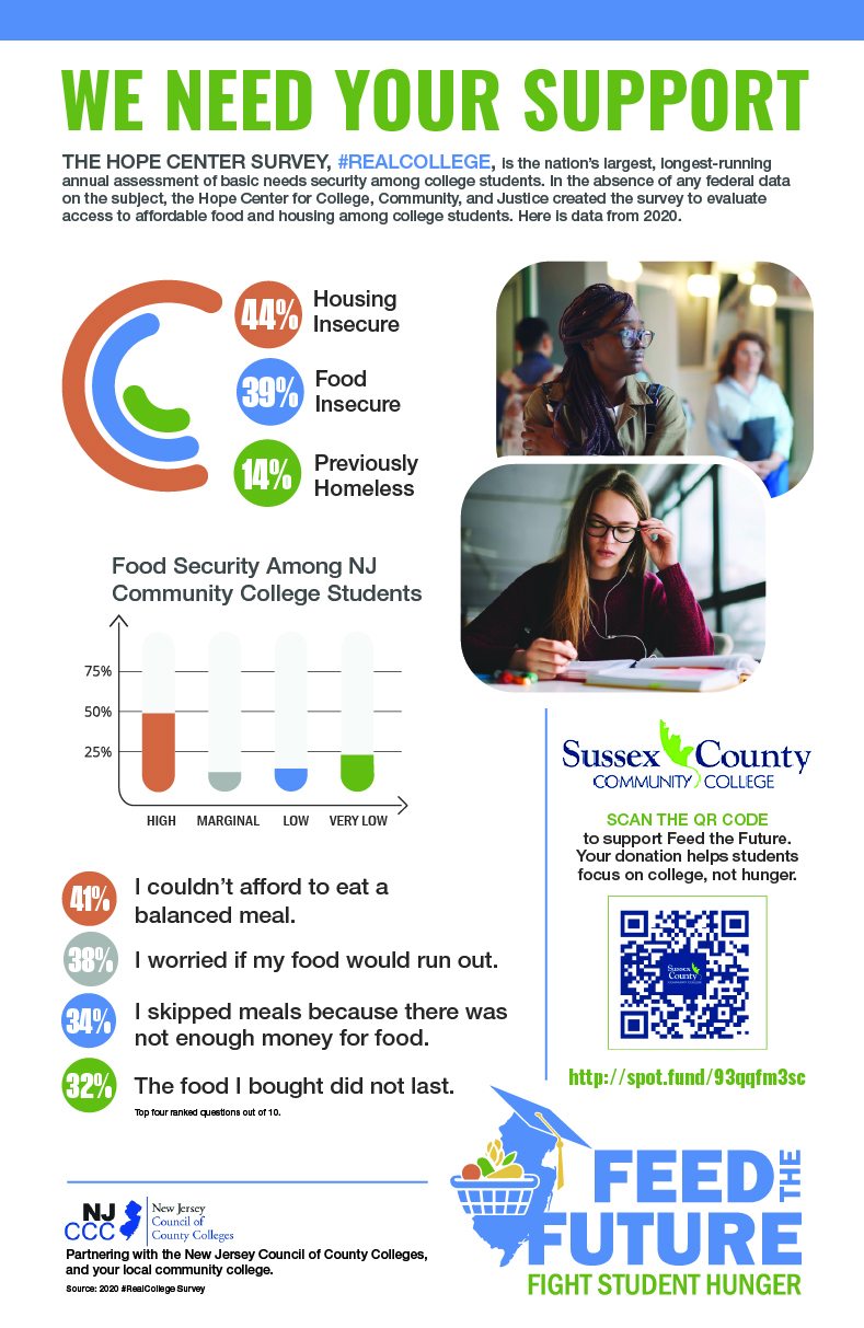 An Infographic with stats about food insecurities and Housing insecurities.