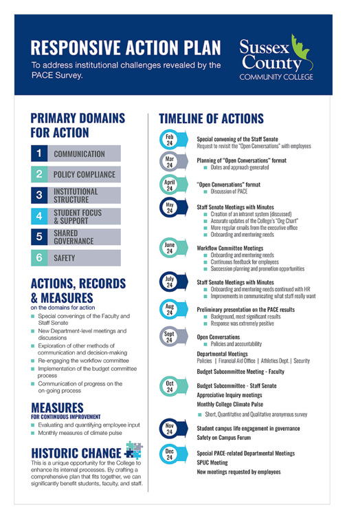 Responsive Action Plan Infographics